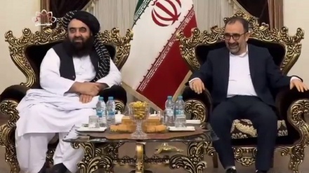 تاکید امیرخان متقی بر همکاری کابل و تهران برای خروج بیگانان از منطقه 