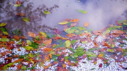 Payîz li Zivistanê