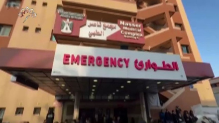  پہلا بلیٹن ،منگل 12 دسمبر 