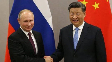 Putin Avropanı 