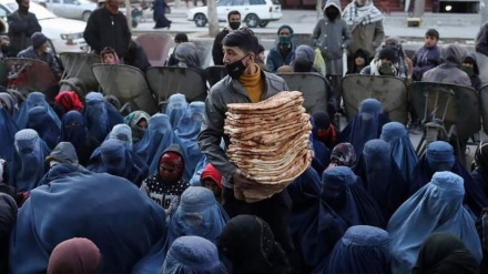 هشدار برنامه جهانی غذا از افزایش بحران گرسنگی در افغانستان 