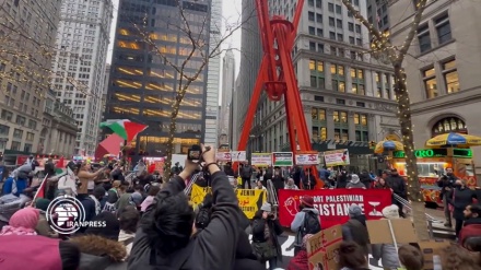 Tubimi masiv i mbështetësve të Palestinës në Nju Jork