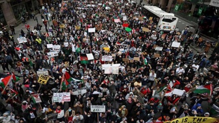 امریکہ کے مختلف شہروں میں فلسطینیوں کی حمایت میں مظاہروں کا سلسلہ جاری 