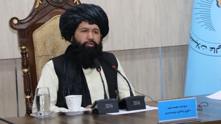 انتقاد وزیر تحصیلات عالی حکومت سرپرست از دخالت کشورها در امور افغانستان 