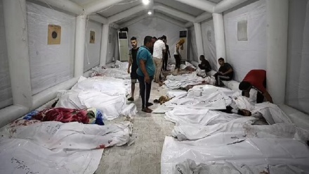 داوا بۆ لێکۆڵینەوە لەسەر دزرانی ئەندامانی جەستەی شەهیدانی غەززە لەلایەن داگیرکەرانەوە