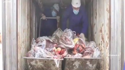 حریق 3500 کیلوگرام گوشت فاسد شده از سوی کمیسیون بررسی قصابان