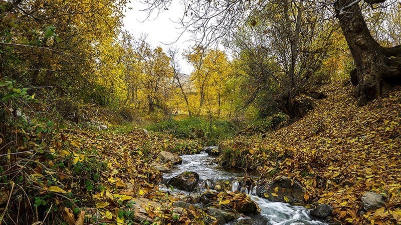 پاییزی رەنگاڕەنگی کوردستانی ئێران