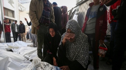 چرکە بەچرکە لەگەڵ هەڵمەتی باهۆزی ئەقسا؛ لە ڕۆژی حەفتاو هەشتەمینی دا بەدەیان شەهید لەئاکامی بۆردوومانی خانووبەرەی خەڵکی سڤیل لە کەرتی غەززە