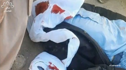 حمله هدفمند تروریستی در هرات