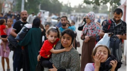 ئیدارەی مەدەنیی غەززە: نزیکەی هەشت هەزار کەس لە غەززە بێسەروشوێنن