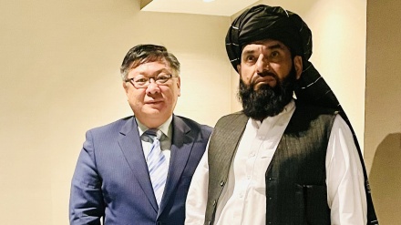 دیدار سهیل شاهین با کاردار چین در قطر