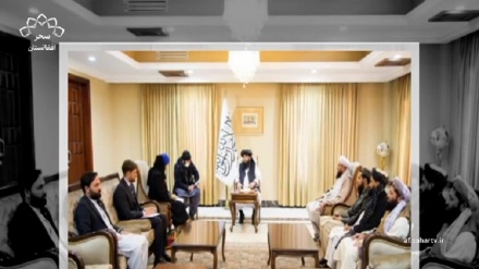 دیدار مولوی عبدالکبیر با کاردار اتحادیه اروپا در امور افغانستان