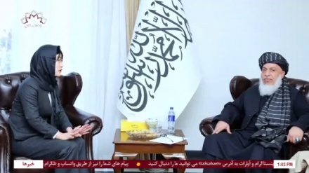 دیدار نماینده ویژه جاپان برای افغانستان با شیر محمد عباس ستانکزی