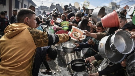 مەترسیی برسێتیی گشتداگر لە باکووری غەززە