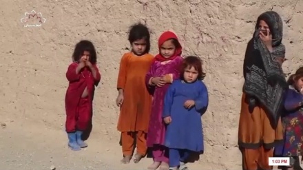 رد گزارش ها از فروش دختران خرد سال در ولایت هرات 