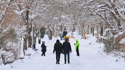 برف باری کے بعد تبریز کے عوام کی خوشی