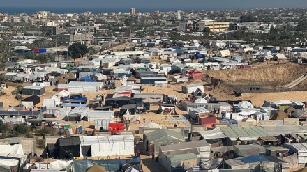 XƏBƏRLƏR  -  08-01-2024    -  (10:30)    -   Aparıcı:      D. NƏSİRİYAN