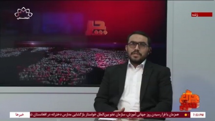 سیدجلیل حلیمی آگاه سیاسی: شاید به سادگی نتوانیم بپذیریم که حاکمیت افغانستان به دنبال مبارزه با تروریسم است
