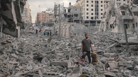 ٧٠ لەسەتی باکوری کەرتی غەززە، بۆ ژیان نابێ