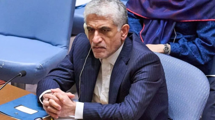 İrəvani: Ənsarullah Hərəkatı lazımi gücə malikdir