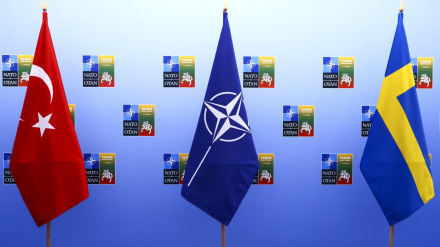 Turski parlament odobrio kandidaturu Švedske u NATO-u