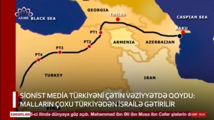 XƏBƏRLƏR  -  22-01-2024     -  (15:30)    -  Aparıcı:     F. BƏQAİ