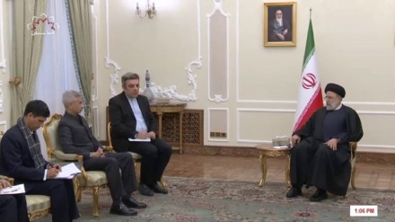 دیدار رئیس جمهور ایران با وزیر خارجه هند 