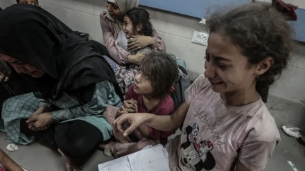 شەڕی غەززە پێشی گرتووە بە خوێندنی زیاتر لە ٦٠٠ هەزار خوێندکاری فەلەستینی