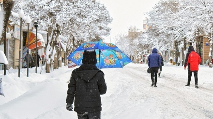 تبریز اور اردبیل میں برفباری کے مناظر
