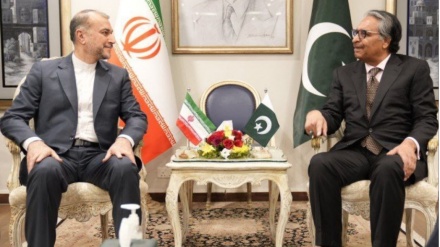 ایران اور پاکستان کے وزرائےخارجہ کے مذاکرات (ویڈیو)