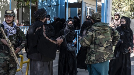 نگرانی کارشناسان ملل متحد از ادامه بازداشت زنان در افغانستان