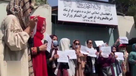 سفارت کوریای جنوبی در اسلام آباد، در نشستی وضعیت زنان افغانستان را مورد بررسی قرار داد