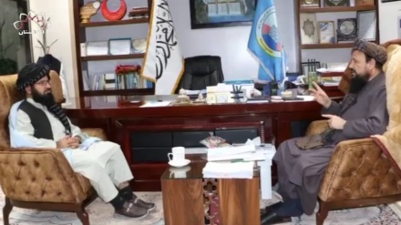 سرپرست وزارت انرژی و آب: ادامه کار بند پاشدان هرات درآینده نزدیک آغاز خواهد شد 