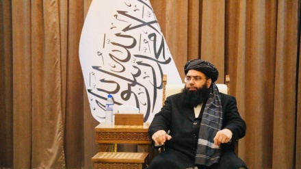 مولوی عبدالکبیر: داعش را به گونه کامل نابود کرده ایم
