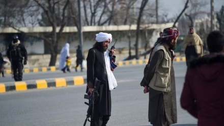 واکنش حکومت سرپرست به ادعای گروگان گیری شهروندان خارجی در افغانستان