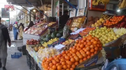 افزایش صادرات میوه تازه از ولایت هرات