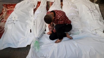 غزہ کے عوام کی نسل کشی میں واشنگٹن کی حمایت پربطور احتجاج سینیئرامریکی فوجی افسر مستعفی