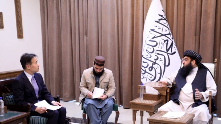 مولوی عبدالکبیر: حکومت سرپرست افغانستان به گفت‌وگو باور دارد