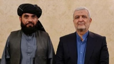 افغانستان کے عوام کا دفاع ایران کی سفارتکاری کی اساس ہے