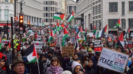 لندن میں فلسطین کی حمایت میں مظاہرے 