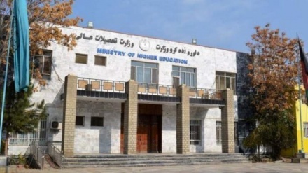 وزارت تحصیلات عالی: در نصاب رشته‌های زبان و ادبیات دانشگاه‌ها بازنگری می‌شود