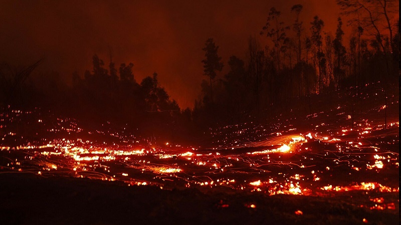 چلی: جنگلات میں لگی آگ قابو سے باہر، 51 افراد ہلاک، آگ پر قابو پانے کی کوشش میں ایک ہیلی کاپٹر بھی تباہ