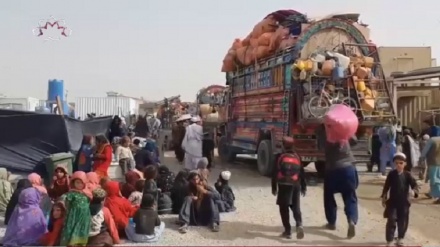 رسانه های پاکستان: طی دو روز، بیشتر از 3070 تن از شهروندان افغانستان از پاکستان اخراج شده اند