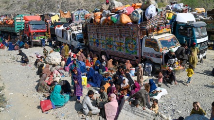 احتمال برگشت حدود ۵۰۰ هزار مهاجر افغان از پاکستان طی ماه‌های آینده 
