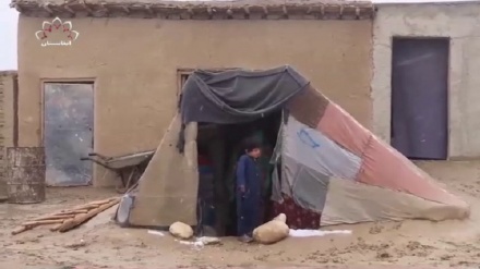 شکایت بی جاشدگان داخلی از وضعیت زندگی شان در مزارشریف