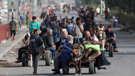 Êrişa hewayî ser bakurê Refehê û êrişa leşkerên siyonîst ser bakurê Refehê