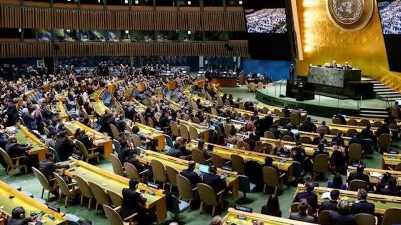 اقوام متحدہ کی جنرل اسمبلی میں اسلامو فوبیا سے مقابلے کی قرار داد