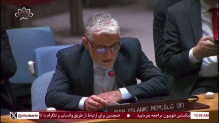 رد اداهای مغرضانه رژیم اسرائیل در سازمان ملل توسط نماینده ایران 
