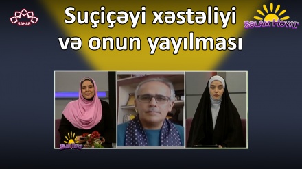 Suçiçəyi xəstəliyi və onun yayılması