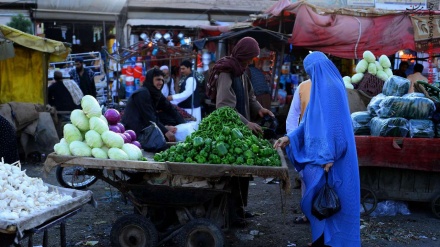 میوه های خشک افغانستان پرفروش ترین اجناس در هرات